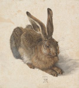 Feldhase (Dürer, 1502)