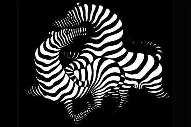 Zebra's (Victor Vasarely)