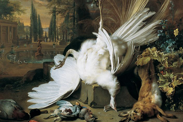 De witte pauw (Jan Weenix)