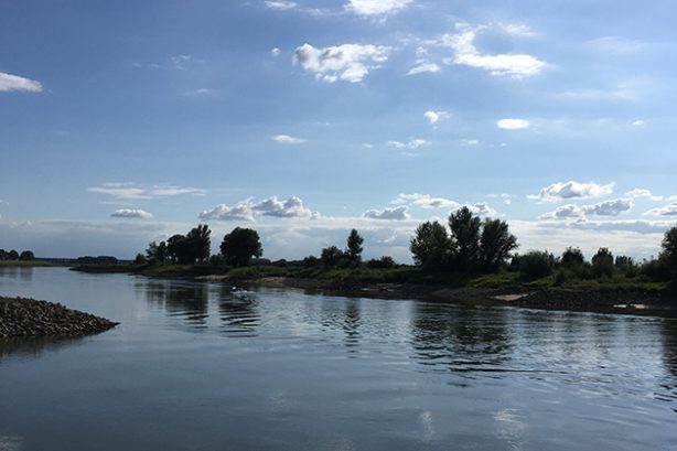 De IJssel bij Zutphen