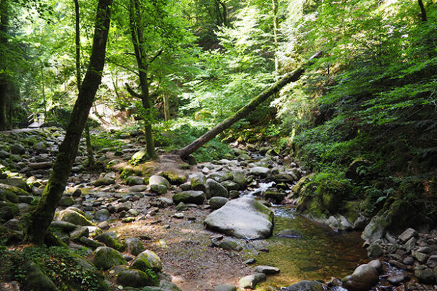 Grobbach, nabij Baden-Baden