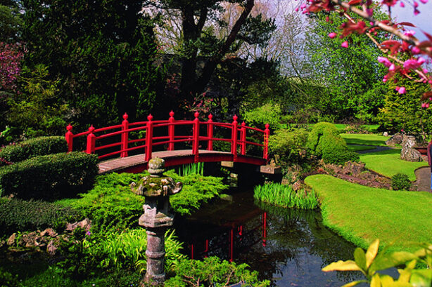 Japanese Garden, Irish Stud