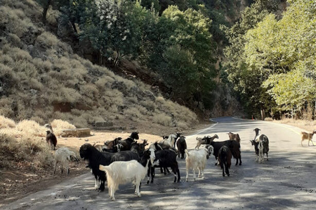 onderweg (foto Joost van der Meent)