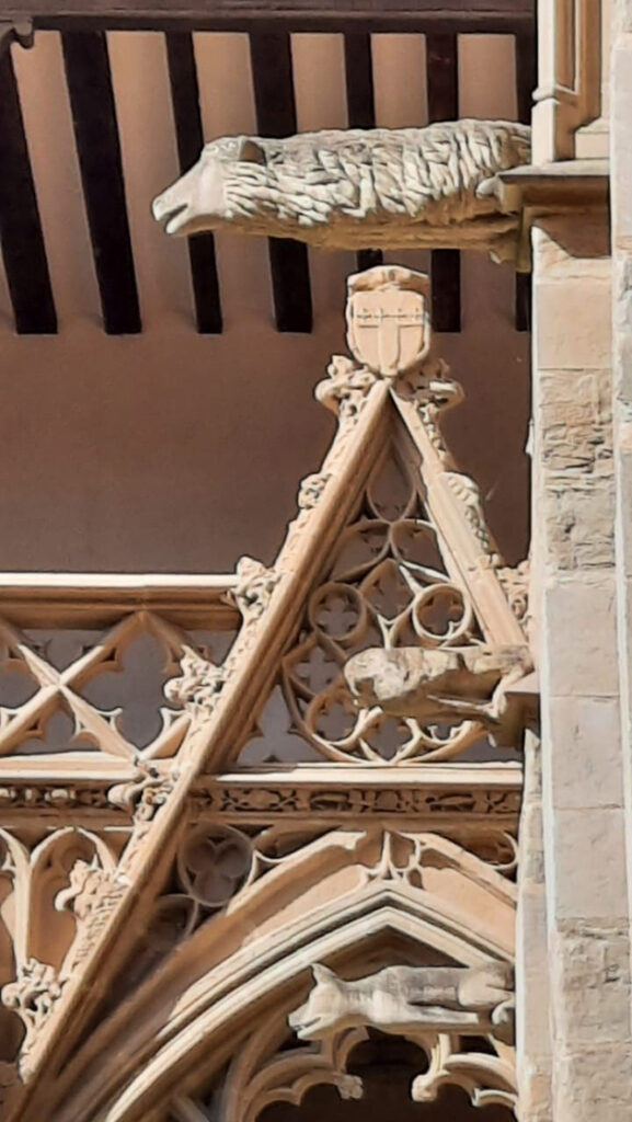 Waterspuwers aan de kathedraal van Pamplona