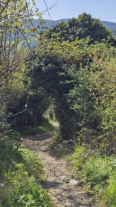 Onderweg tijdens de eerste wandeling