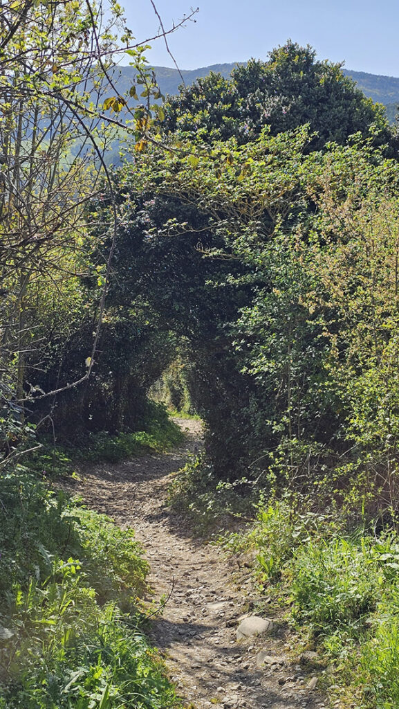 Onderweg tijdens de eerste wandeling