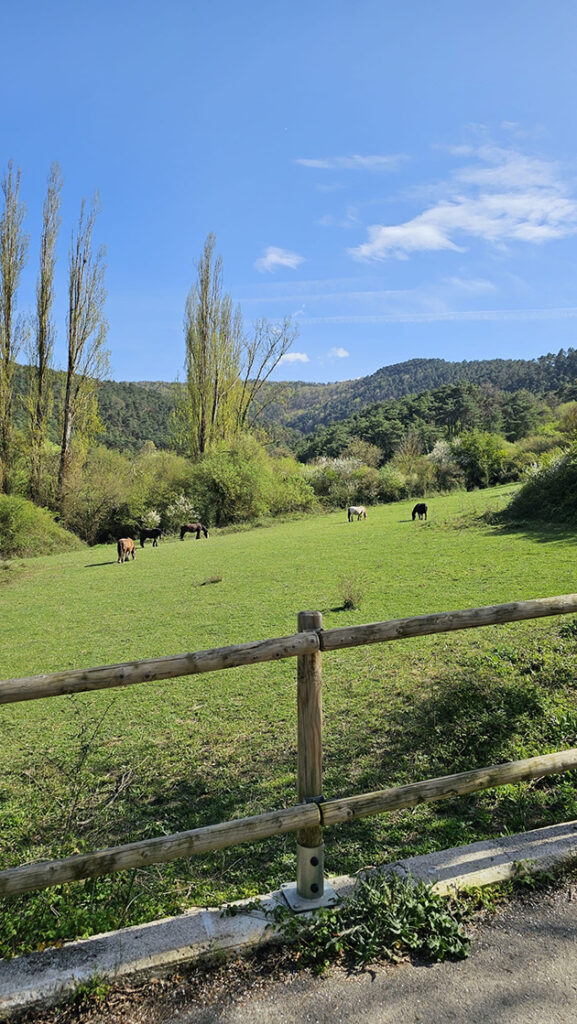 Tijdens de eerste wandeling in de In de Pyreneeën