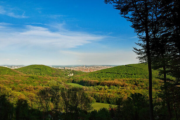 Wienerwald